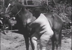 Ông muốn bỏ phim matxa nhat ban lớn